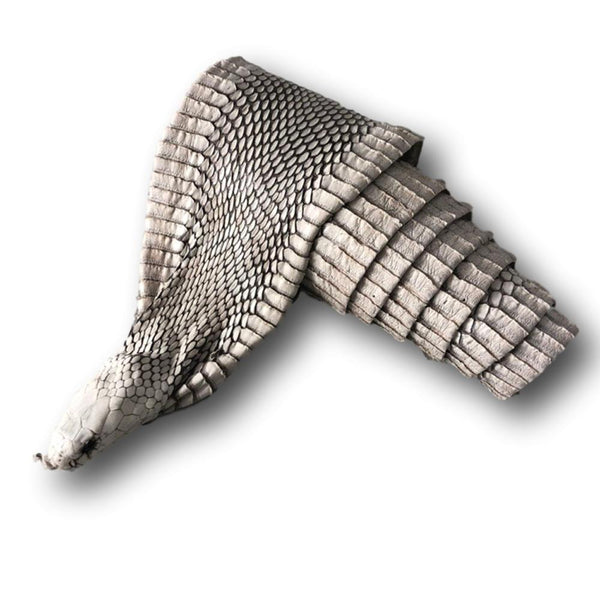 Exotic Full Cobra Snake Skin With Head - Deer Shack