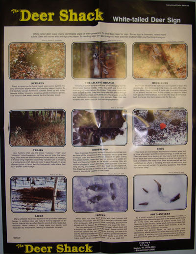 Whitetail Deer Sign Poster - Deer Shack