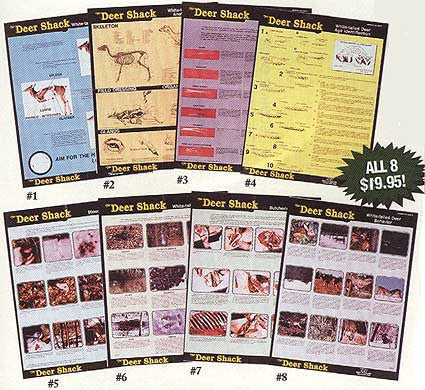 Whitetail Deer Instructional Posters - Set of 8 Educational Posters - Deer Shack