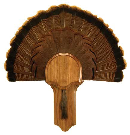 Walnut Deluxe Turkey Display Kit - Deer Shack