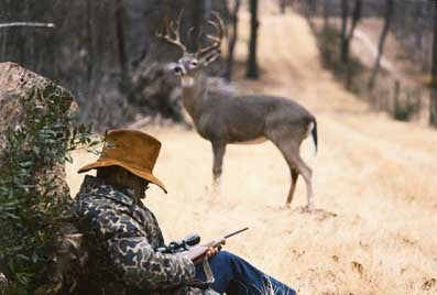 Hung Over Print - Deer Shack