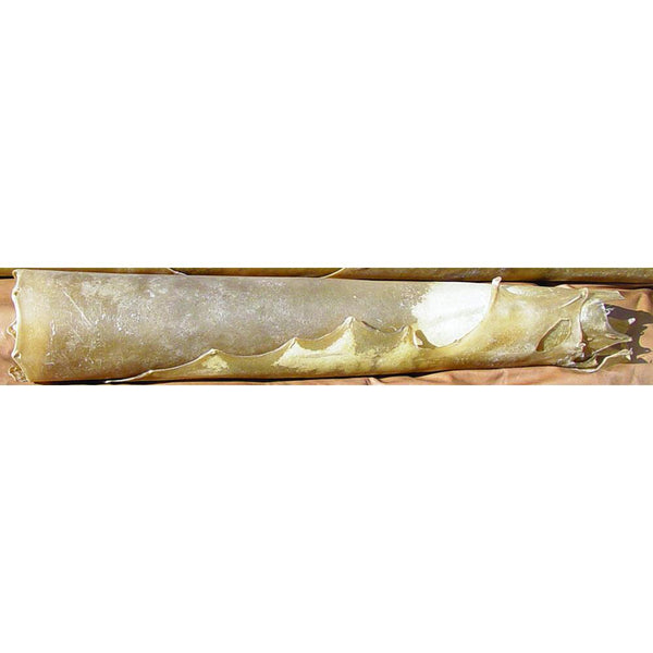 Cow Rawhide Large 5 to 6 oz Hide - Deer Shack