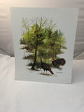 Joe Lathrop Limited Edition Art Print "Spring Gobblers" - Deer Shack